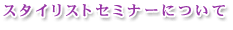 �X�^�C���X�g�Z�~�i�[�ɂ���