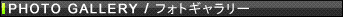 PHOTO GALLERY �t�H�g�M�������[