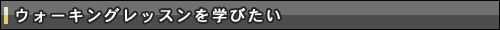 ウォーキングレッスンを学びたい