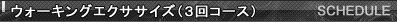 �E�H�[�L���O�G�N�T�T�C�Y�i�R��R�[�X�j